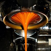 Twigs with Beans (@twigsnursery) 's Twitter Profile