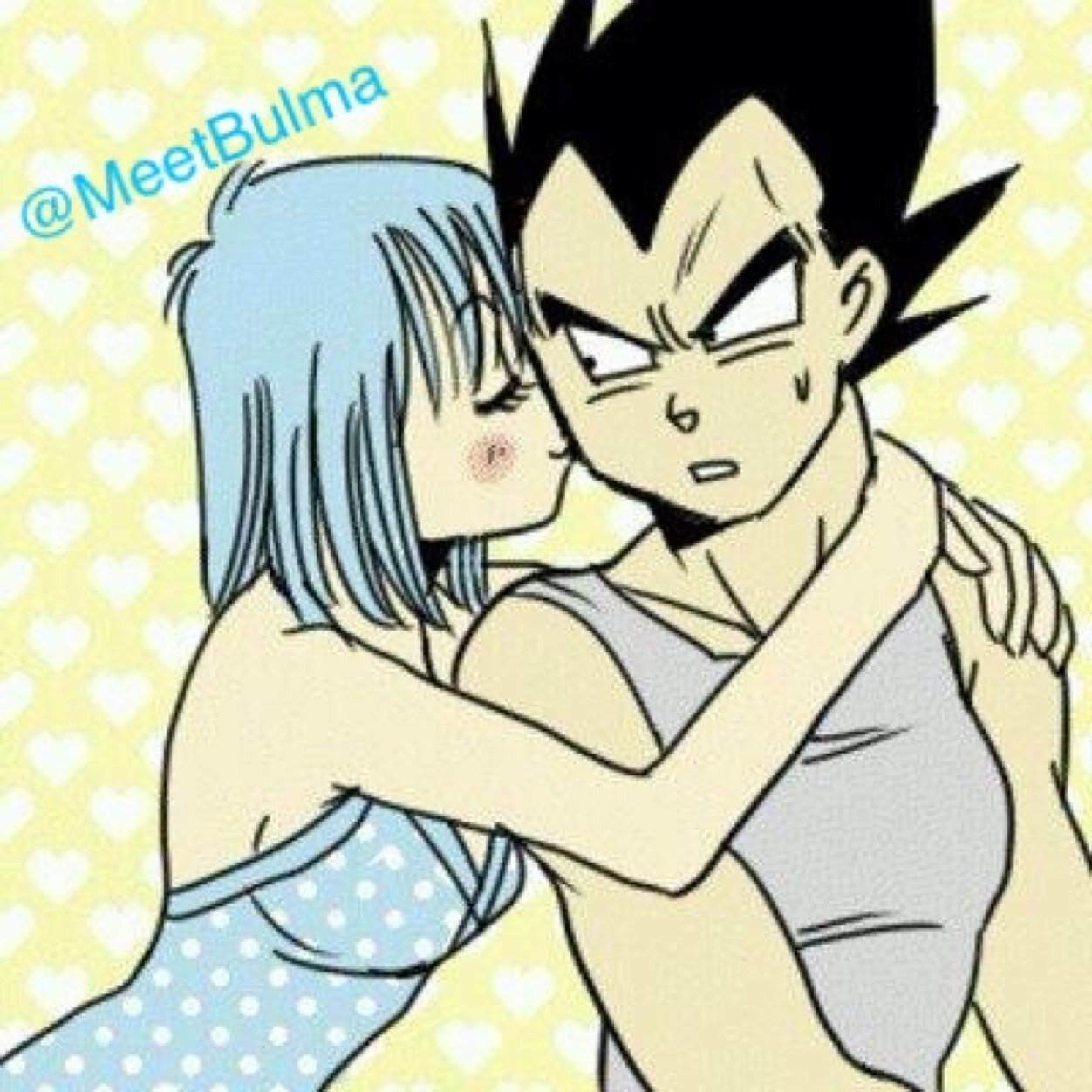 I am the one and only Bulma Briefs. The beautiful and amazing genius who invented the dragon radar and tamed the Prince of all Saiyans.
