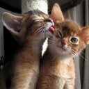 Natalie Thornton - @Nati_Es - Twitter