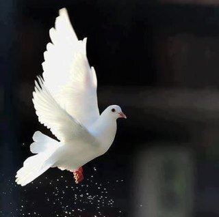 engazaty4591's profile picture. ‏صاحبة الحساب في ذمه الله منذ ١٦ يناير٢٠١٥
دعواتكم لها بالرحمة و المغفرة
سبحان الله و بحمده سبحان الله العظيم .