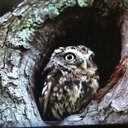 Steve Fay - @sfay93 - Twitter