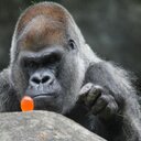 Edward Eigerman - @ProfMordecai - Twitter