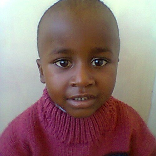 martingazebo's profile picture. 