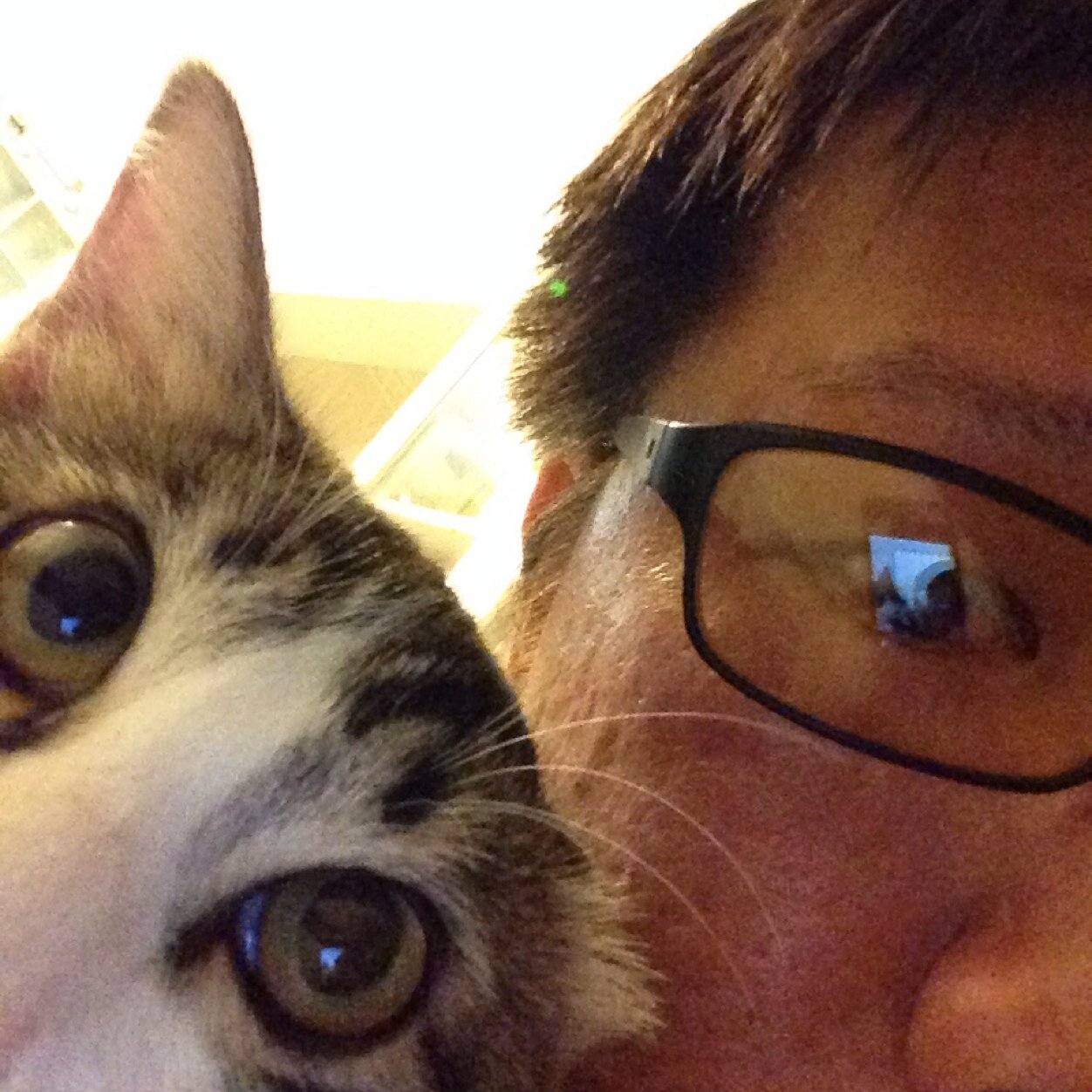 explorer, wanderer, photographer, oversharer, beer guzzler, cat molester
