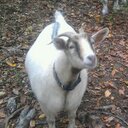 Jack Espinosa Jr - @espinosa_jack - Twitter