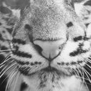 Louisa Hill - @LouisaHill7 - Twitter