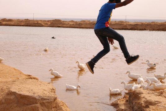 shmuhtref30's profile picture. 