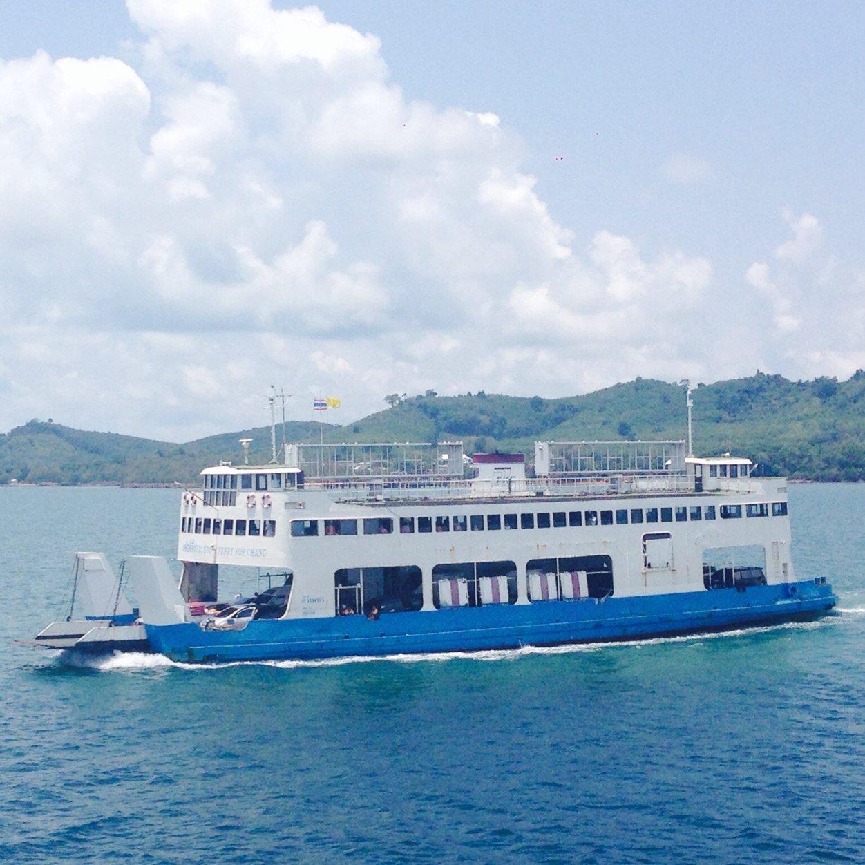 zealover15's profile picture. 