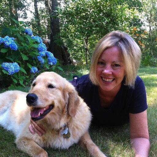 KTolland's profile picture. 