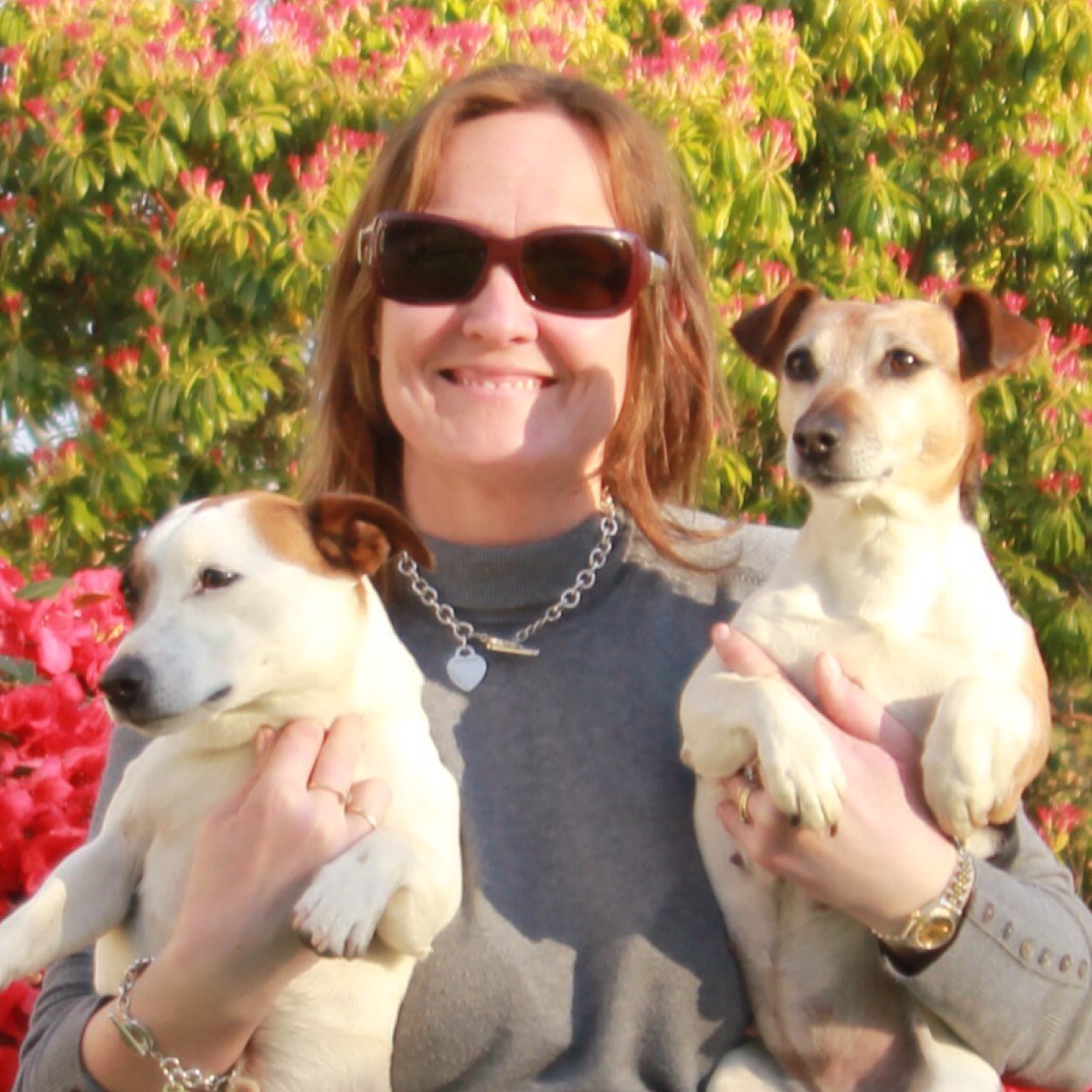 FECLaird's profile picture. Works in IT