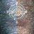 PASStrinitas's profile image