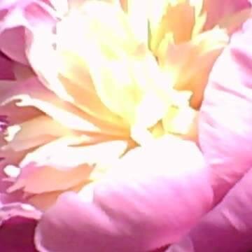 KristenFoxNason's profile picture. 