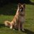 Manish0904's profile image