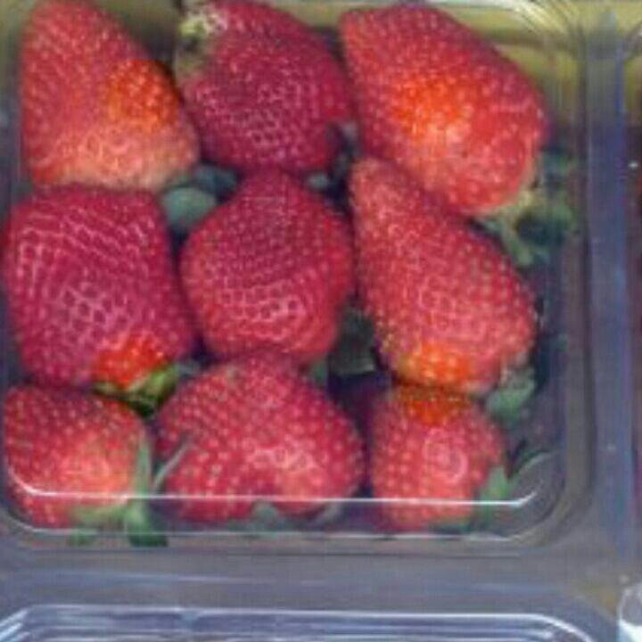 Chandan73189973's profile picture. 