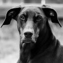 Dwayne - @DwayneLofton - Twitter