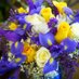Shamrock Florist (@shamrockflorist) Twitter profile photo