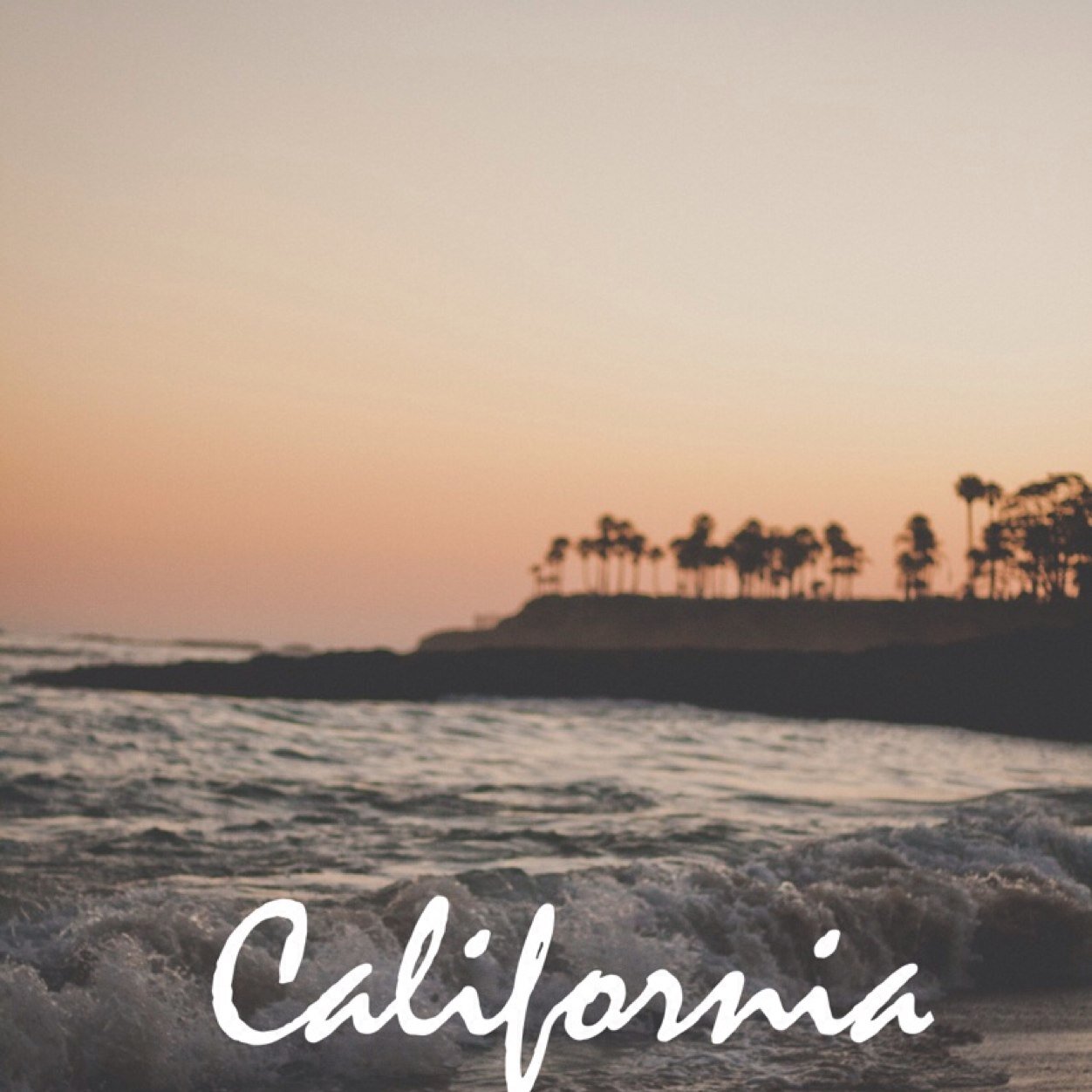 SheerCody's profile picture. 