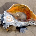 Bruce Wilkins - @SOBOBX - Twitter