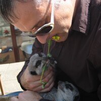 Tom Dawson (@drtomdw) 's Twitter Profile