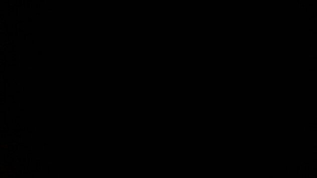 24