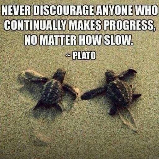 Deladadee's profile picture. Signed with University of Florida to play softball next year.  So excited.