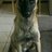 supergraafschap's profile image