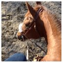 Johnna - @JohnnaRoberts88 - Twitter