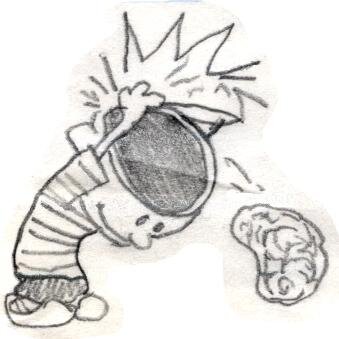 KevKelly13's profile picture. Eternal student of Garden Design. MUFC fan. Irish ☘