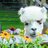 burgisbrook's profile image