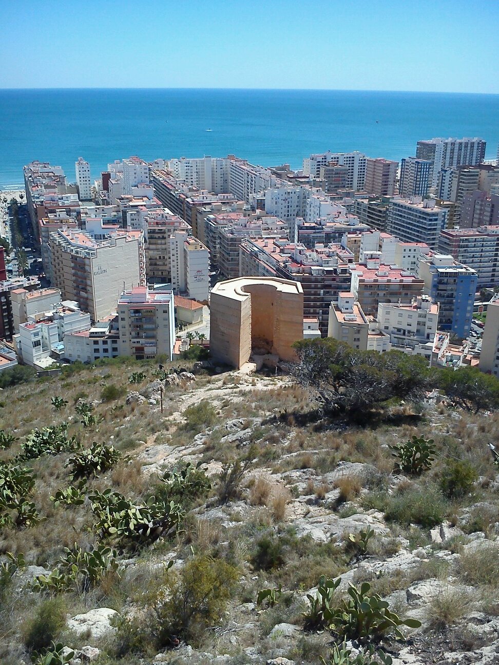 perega98's profile picture. 