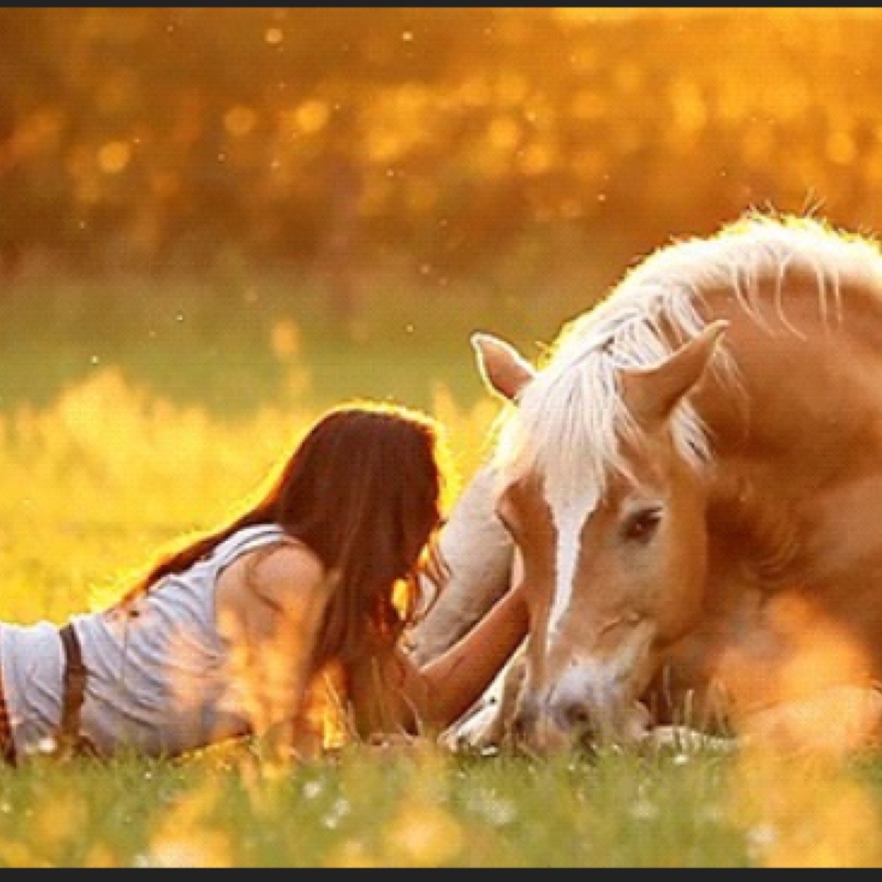 Country sweetheart all the way! Christ is my lord and savior. Anon account. Follow me! ☀