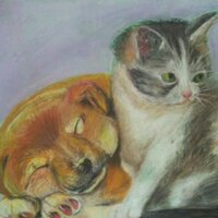 Karyn Tenn Yuk (@ltreearts) 's Twitter Profile