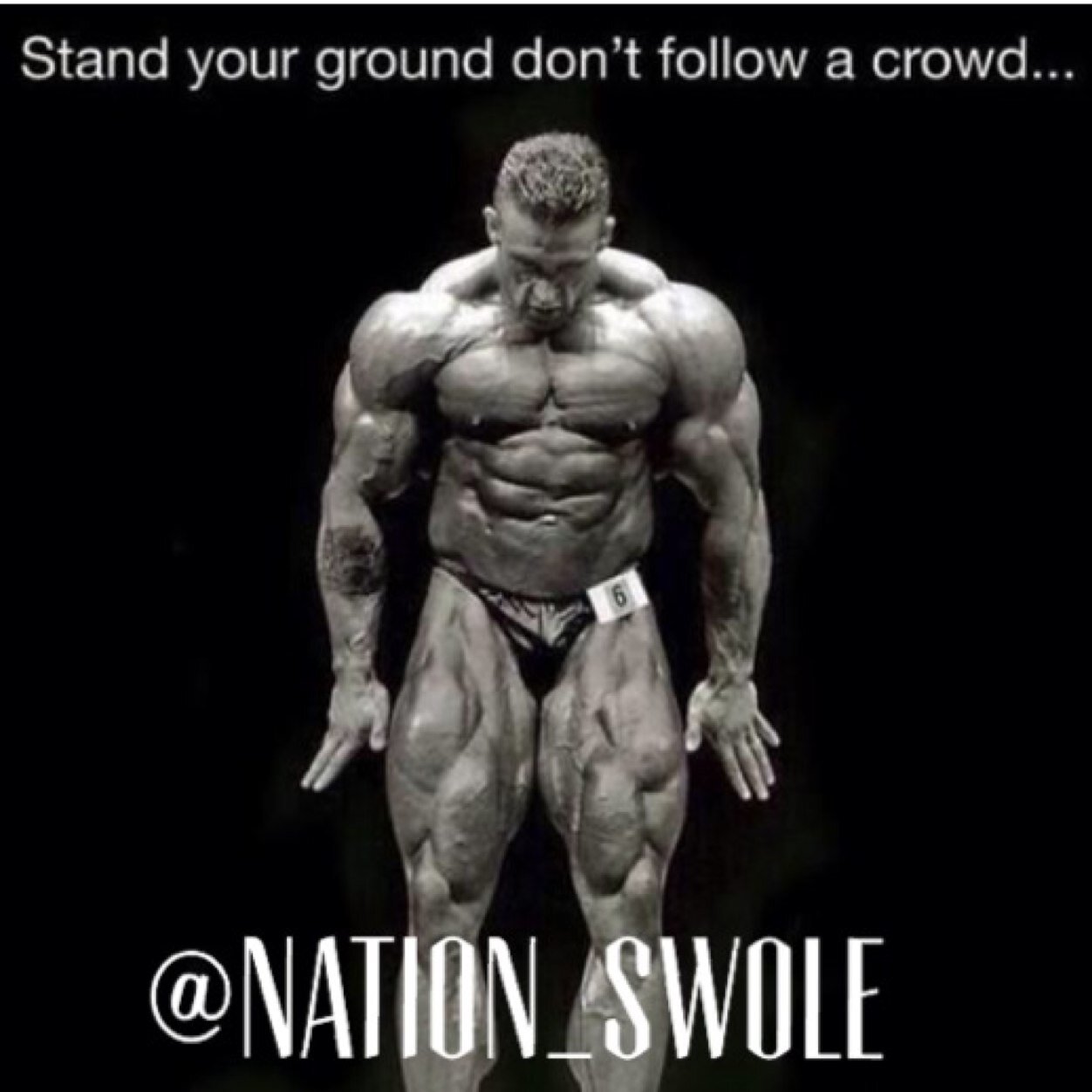 Are you SWOLE? #GetSwole #GetBig #Workout