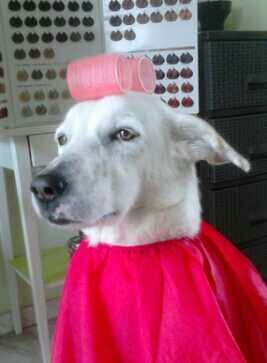 maliokouvaro's profile picture. τσουτσούριασα.
https://t.co/LSFUvjAtOh

https://t.co/byXdLgymPJ