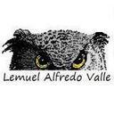 Lemuel Alfredo Valle - @BlackWingedOwl - Twitter