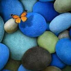 4thebirdsandme's profile picture. Parent of 3 adults; grandmother, student