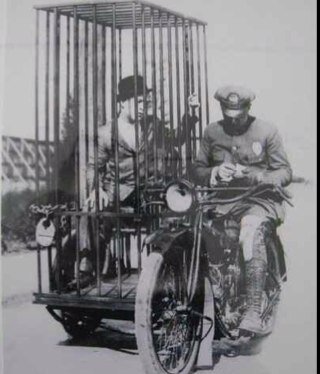 mateos_toni's profile picture. 