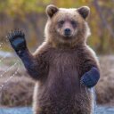 Mark Perkowski - @markJperkowski - Twitter