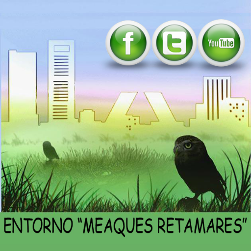 El entorno Meaques Retamares es una de las mejores representaciones de retamar de la Comunidad de Madrid. Una zona rebosante de biodiversidad.