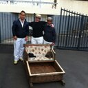 Birgitte Christensen - @bicy77 - Twitter