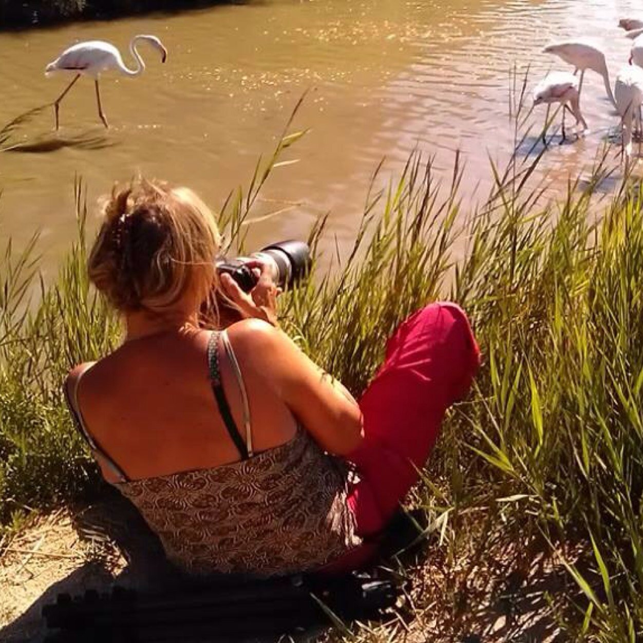 moedervrouwomabuurvrouw, creatief met pannen, breinaald, fotografie, massages en gek op motorritten met grote liefde en n concert op zijn tijd