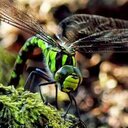 Glyn Owen - @glynowen1970 - Twitter