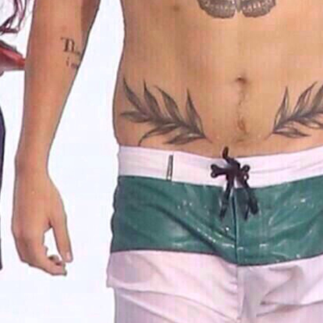 harryschubbyhip's profile picture. @hipchub