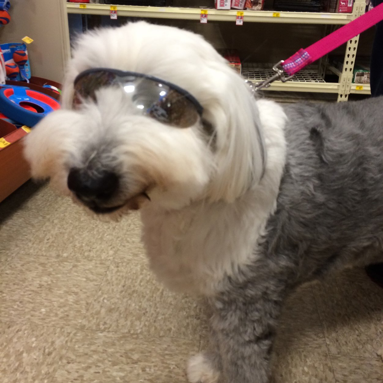 tfiske13's profile picture. 