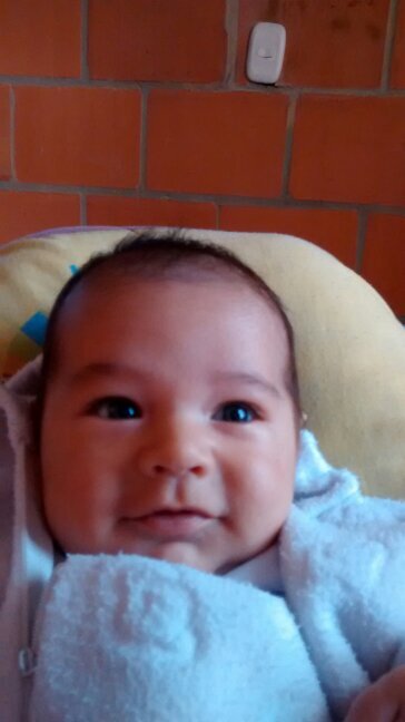 ANDREANIETOT's profile picture. 