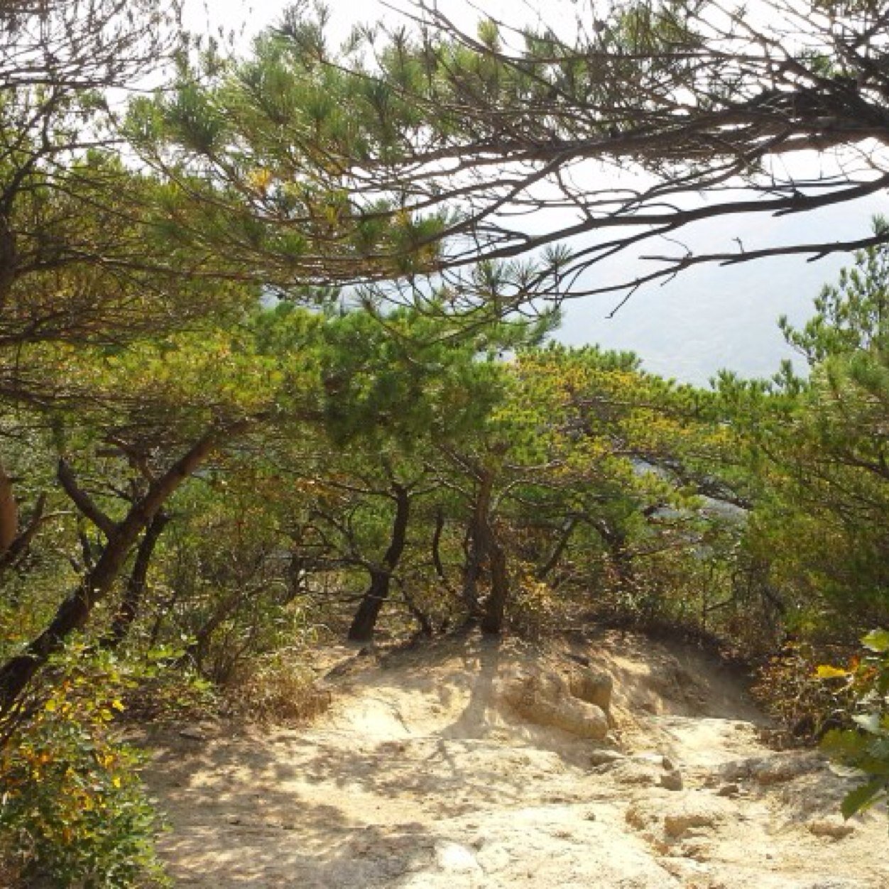 rohyunkook's profile picture. 