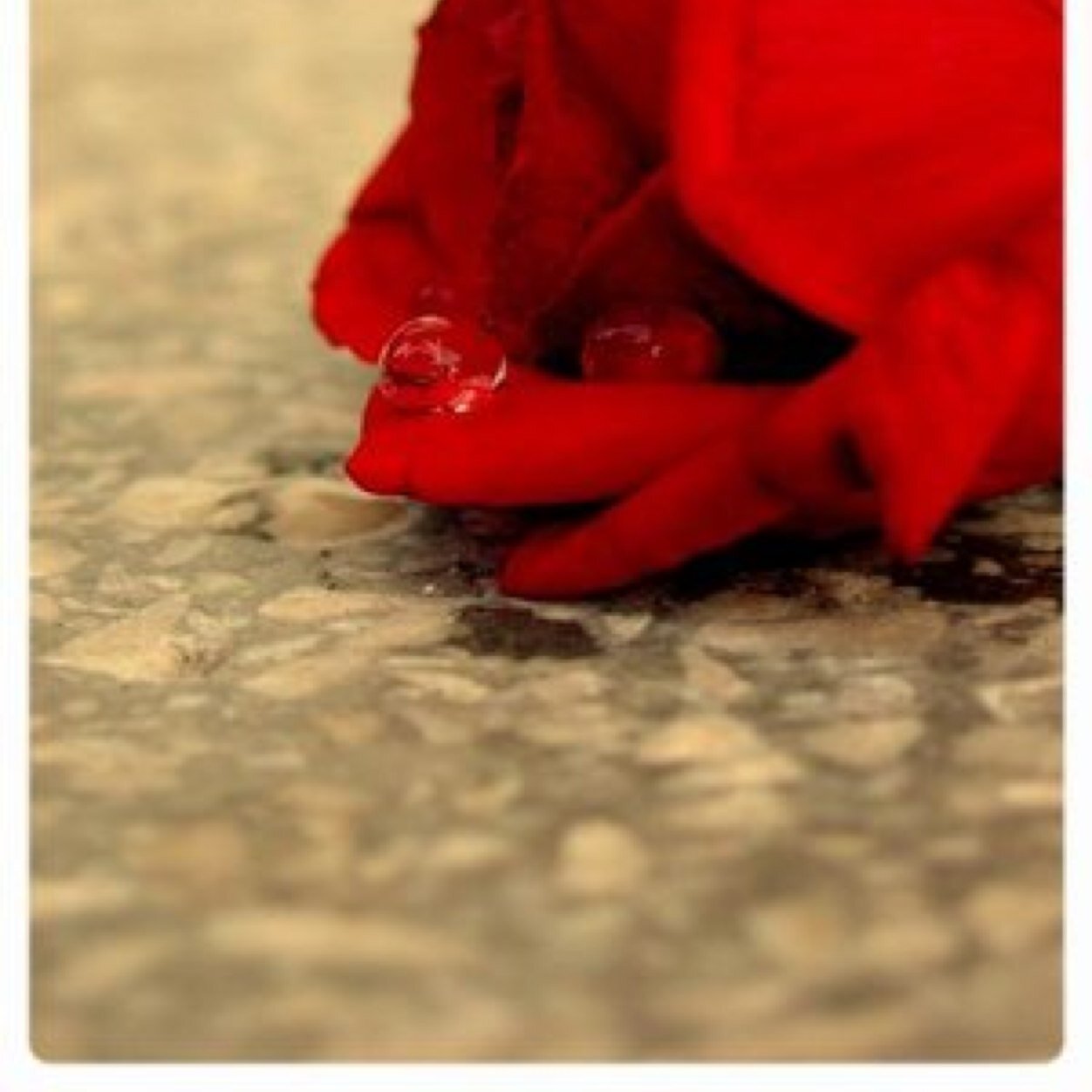 ڵـښټۆ عۑۆڼـآ ڵـڵـمـهٱ ۆڵـڱڼـے مـهٱ ڣڨط
