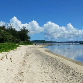 hashin1985's profile picture. 子供向けの本の編集をしています。阪神がんばれ！