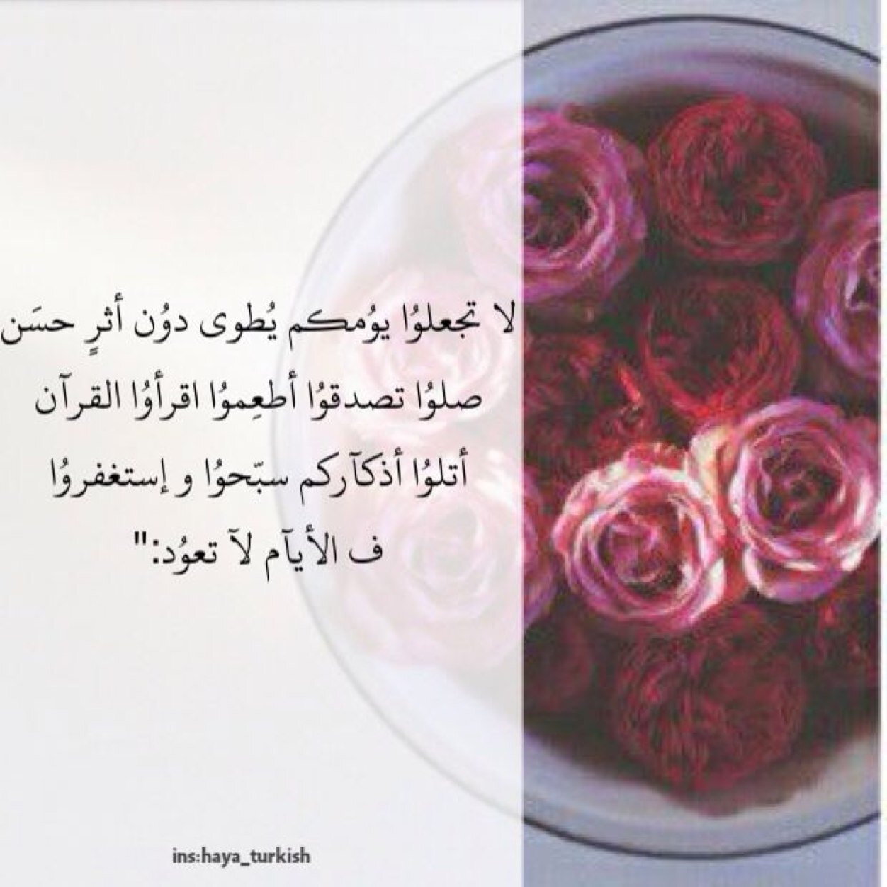 i__LADY's profile picture. 