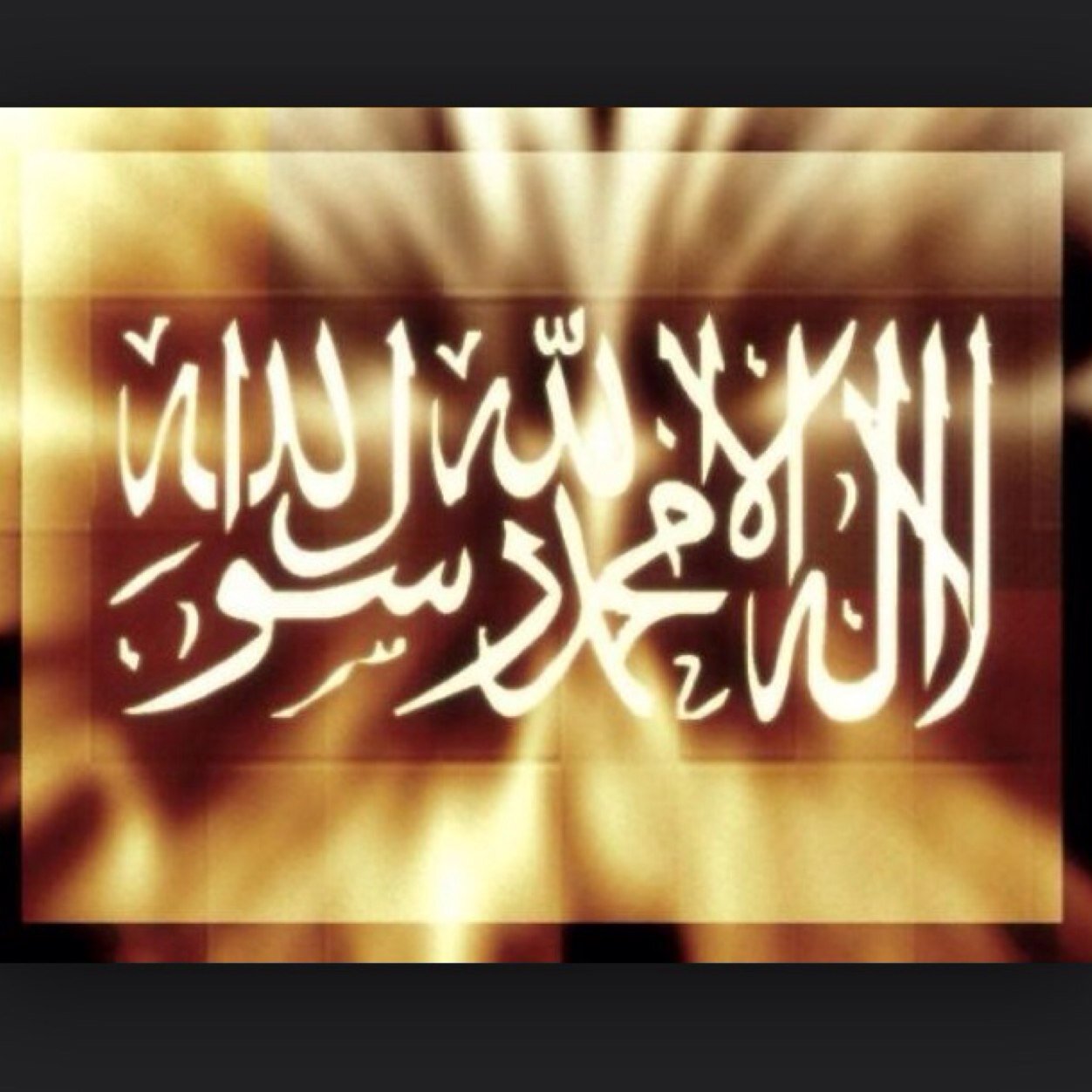 albear_alnhari's profile picture. 